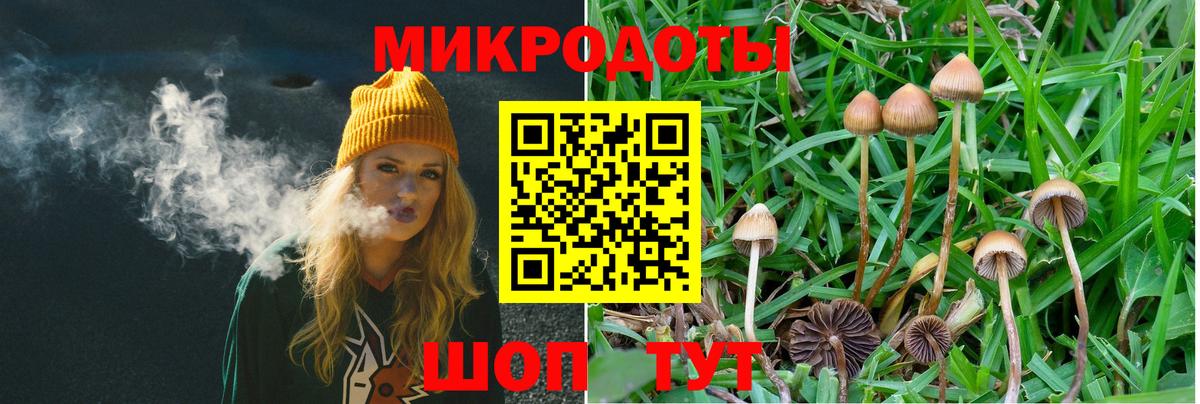 купить   Галлюциногенные грибы мицелий  Вход с VPN  Джанкой 