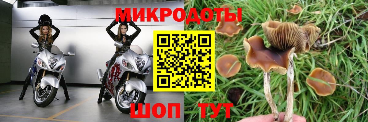 Галлюциногенные грибы мицелий Джанкой